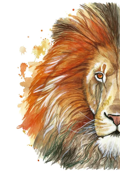 Aquarelle Représentant Mammifère Animal Prédateur Lion Rouge Crinière Rouge Roi — Photo