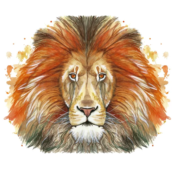 レッド ライオン 赤いたてがみ 獣のライオン王 偉大さ イギリス インドの白い背景の前に肖像画の動物哺乳類動物プレデターの描く水彩画 — ストックベクタ