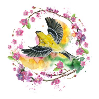 watercolor drawing seamless pattern on the theme of spring, heat, illustration of a bird of a sparrow-like fleet of Orioles flying, with open wings, feathers, with yellow plumage, hyperrealism, with cherry blossoms, pink flowers and buds, for creati clipart
