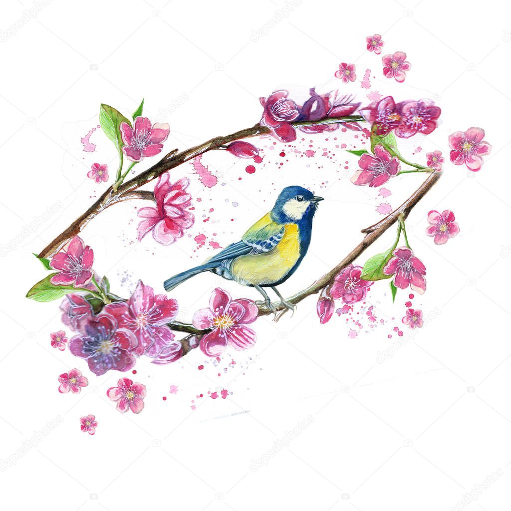  watercolor drawing seamless pattern on the theme of spring, heat, illustration of a bird of a troop of passerine-shaped large tits flying, with open wings, feathers, with yellow breast and blue plumag