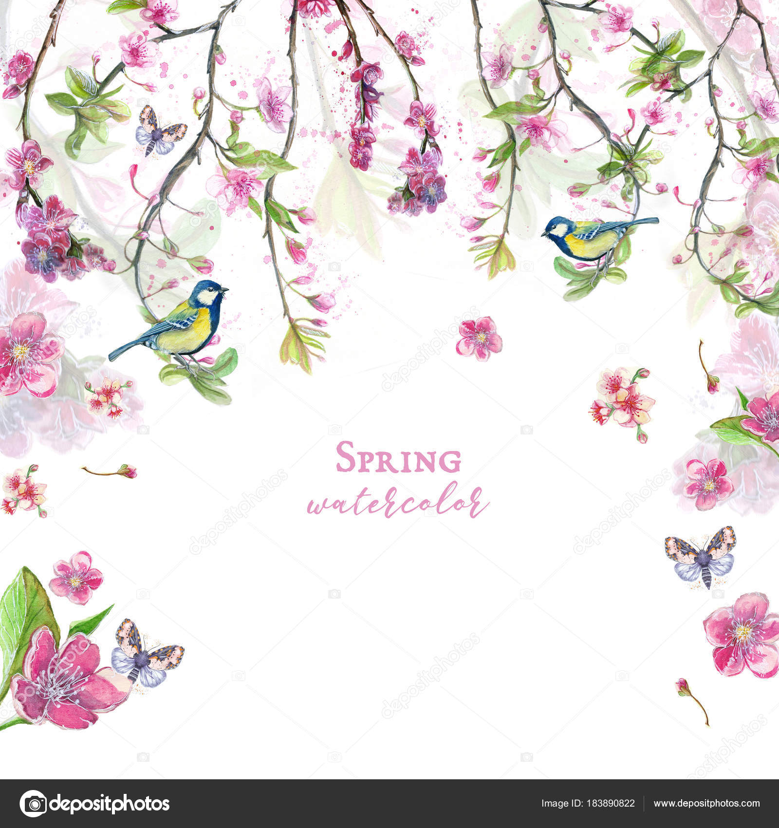 Acquerello disegno di fiori di ciliegio fiori di ciliegio fiori rosa toni dolci sul tema della primavera festa della mamma 8 marzo pleanno con gli