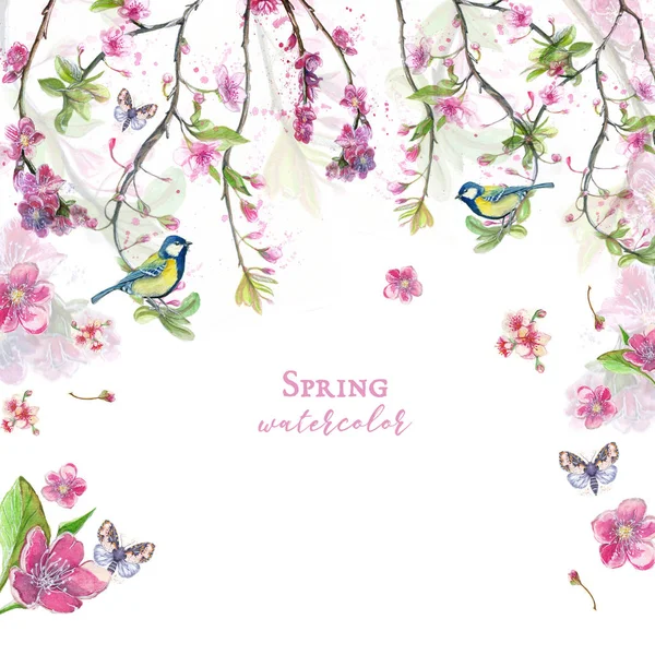 Watercolor drawing of cherry cherry blossoms cherry blossoms, pink flowers, gentle tones, on the theme of spring, mother's day, March 8, birthday with birds, tits and oriol for decor and design of pos — Stock Image Watercolor Drawing Cherry Cherry Blossoms Cherry Blossoms Pink Flowers Gentle Royalty Free Stock Photos