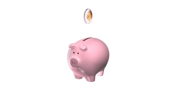 Свинка с долларовой монетой . — стоковое видео
