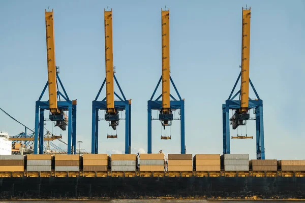 Kräne und Container beim Entladen im Hafen — Stockfoto