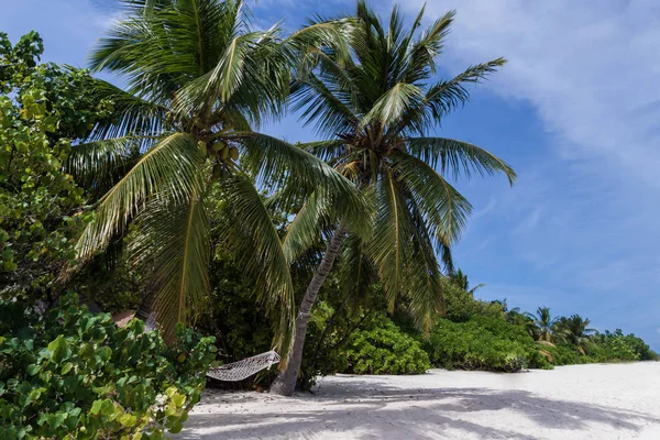 Гамак между кокосовыми пальмами на пустынном тропическом пляже на острове Мальдивы — стоковое фото