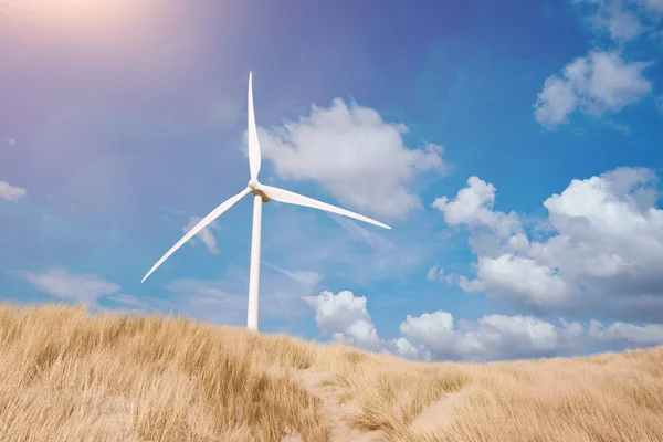 Вітрові турбіни за дюнами, покриті мармуровою травою під блакитним літнім небом — стокове фото