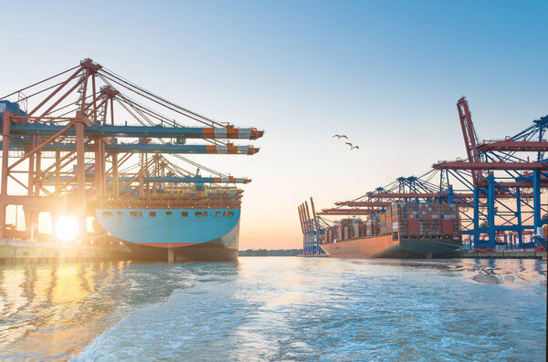 large container ships in harbor unter beautiful sunset sky