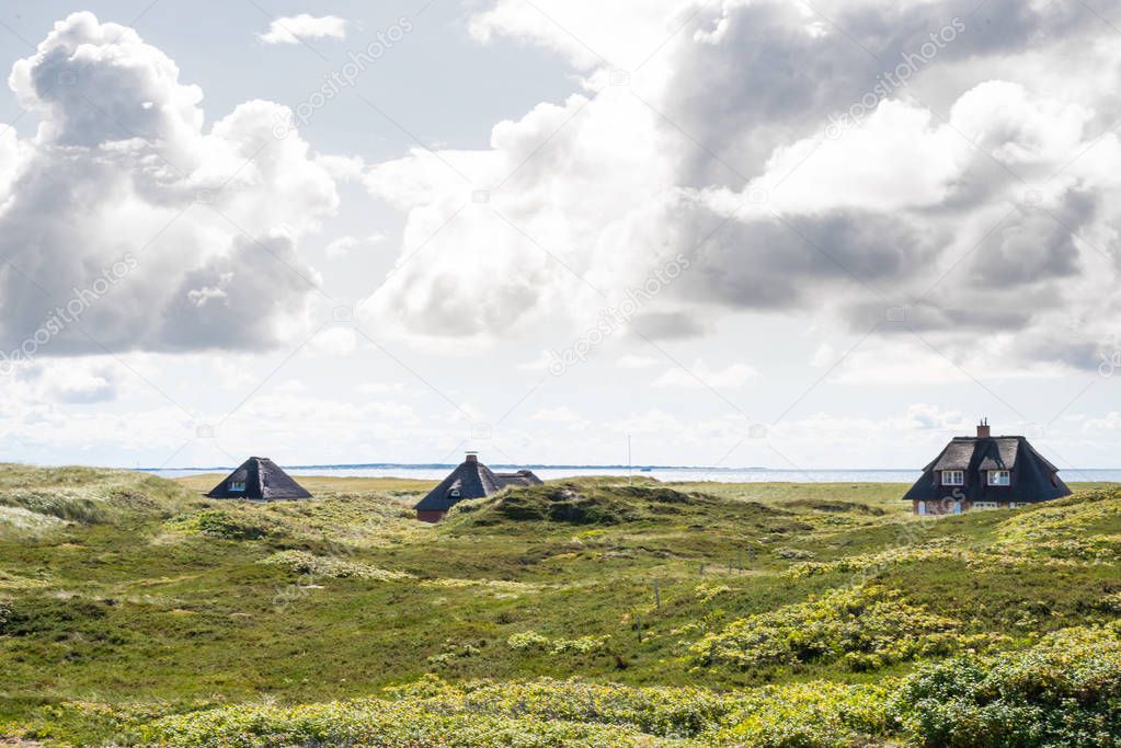 thatched-roof houses hidden in beach grass covered dunes at coast of the island of Sylt, Germany