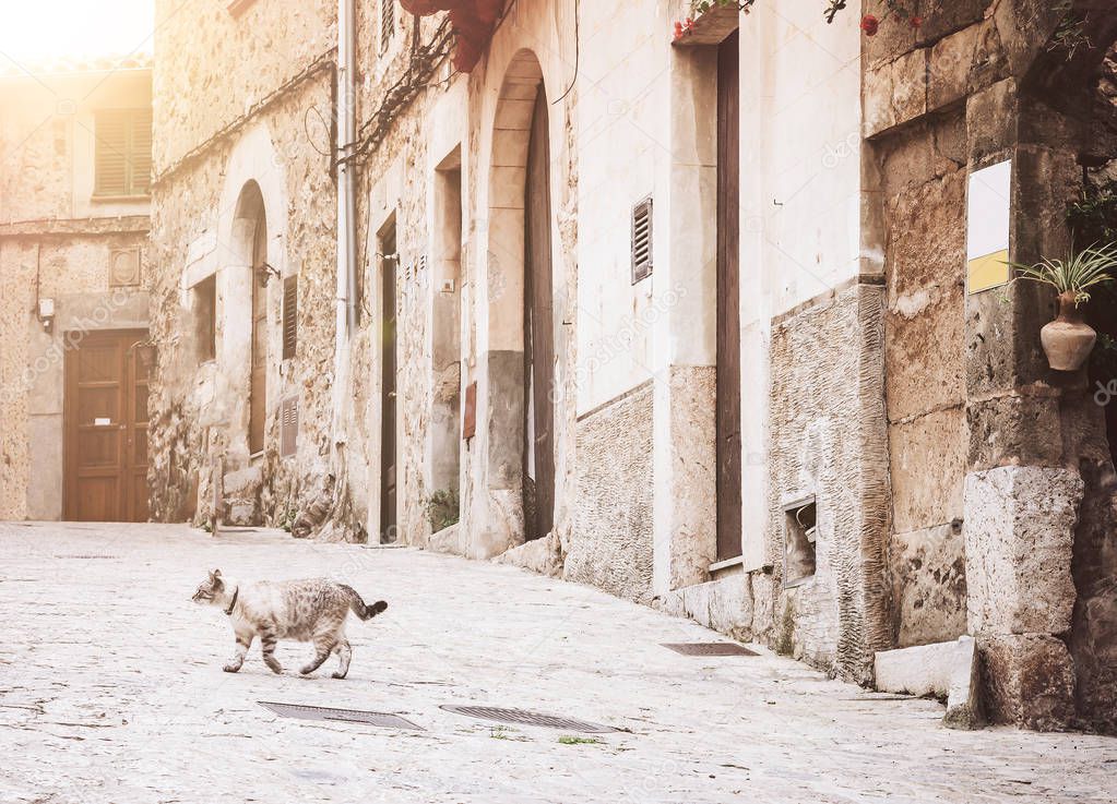 cat crossing empty alley in historic old town of Valldemossa, Majorca, Spain