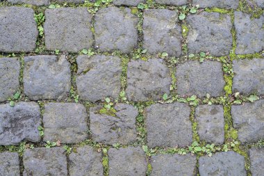 Arnavut kaldırımlı sokak yüzey eklemlerde büyüyen otlar ile