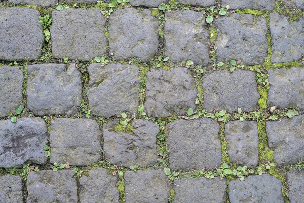 Arnavut kaldırımlı sokak yüzey eklemlerde büyüyen otlar ile