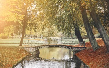 Köprü sonbahar parkta gölet