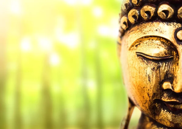 Hoofd van gouden Boeddhabeeld op weelderige groene achtergrond — Stockfoto