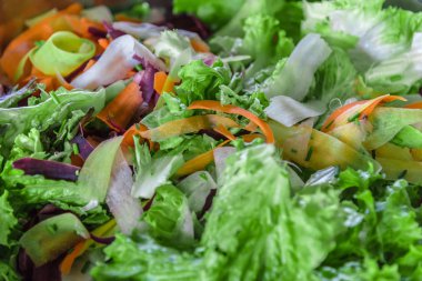Taze karışık yeşil salata