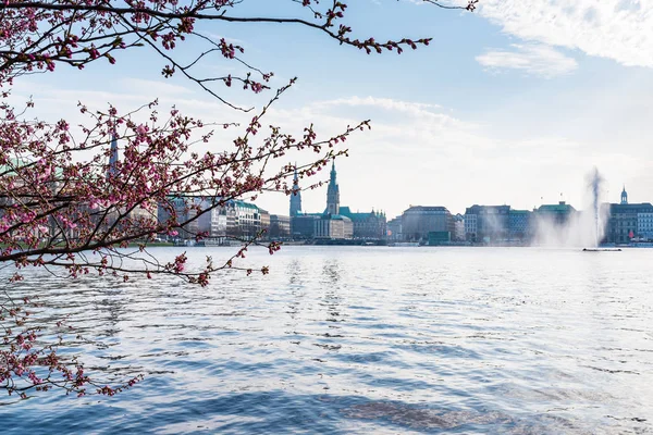 Alstersee in Hamburg mit Jungfernstieg und Rathaus im Hintergrund an einem sonnigen Frühlingstag — Stockfoto
