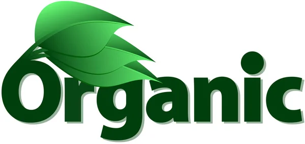 Logotipo de texto de alimentos 100% ecológicos con hojas — Vector de stock