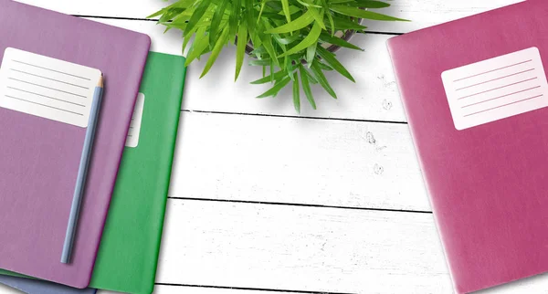 Quaderno o quaderno con etichetta adesiva in bianco e matita su scrivania con pianta in vaso verde — Foto Stock