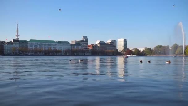 Alster λίμνη στο Αμβούργο, Γερμανία για ηλιόλουστη μέρα του καλοκαιριού κατά παραθαλάσσια κτίρια και μπλε ουρανό — Αρχείο Βίντεο