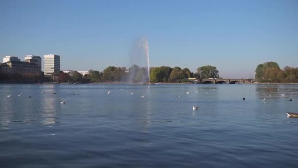 Lago Alster ad Amburgo, Germania nella soleggiata giornata estiva contro gli edifici sul lungomare e il cielo blu — Video Stock