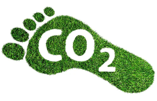 Impronta di carbonio simbolo, impronta a piedi nudi in erba verde lussureggiante con testo CO2 — Foto Stock