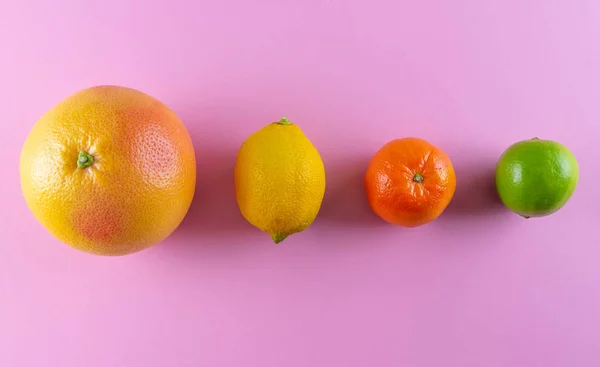 Diretamente acima tiro de frutas cítricas coloridas diferentes no fundo rosa — Fotografia de Stock