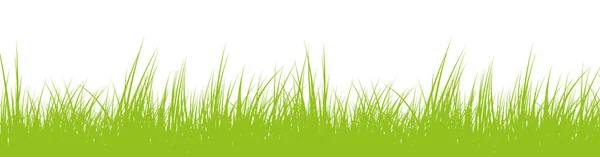 Hierba verde fresca o césped aislado en blanco — Vector de stock