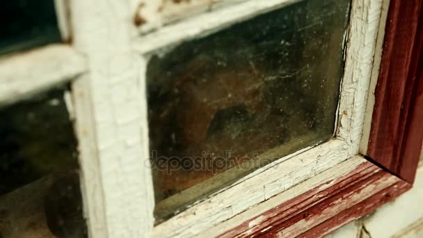 Старое окно с краской Обервайса — стоковое видео