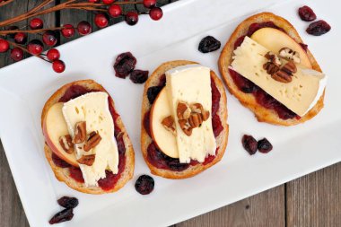 Crostini meze beyaz plaka üzerinde kızılcık sosu ile