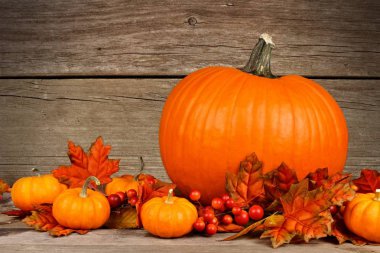 Sonbahar kabak olay yerine rustik ahşap