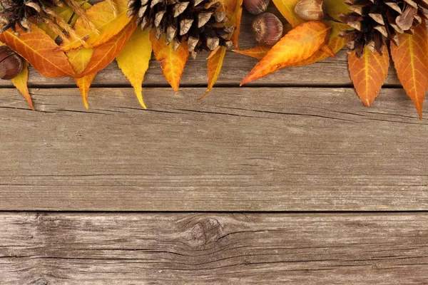 Herbstliche Oberkante gegen rustikales Holz — Stockfoto