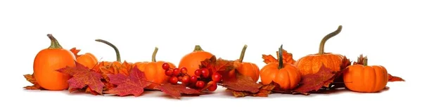 Langer Rand aus Kürbissen und Herbstblättern isoliert auf weißem Grund — Stockfoto