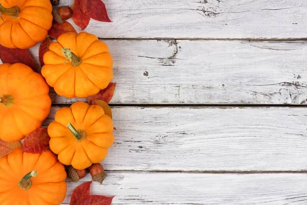 Pumpkin and leaves side border over rustic white wood — Stock Photo, Image