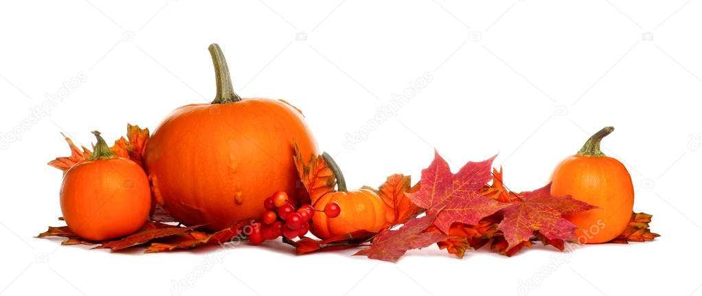 Pumpkins and fall leaves border isolated on white