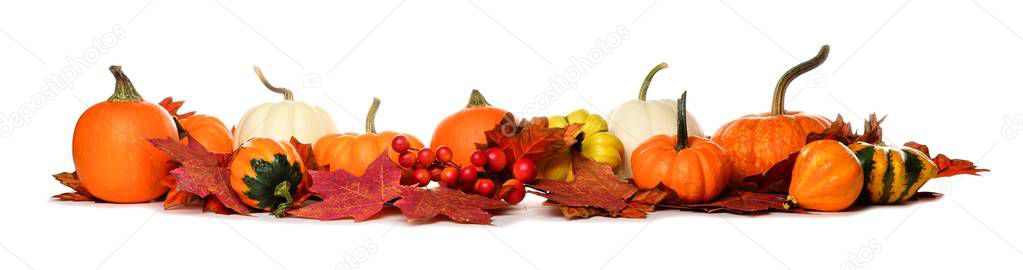 Long border of pumpkins, gourds and fall leaves on white