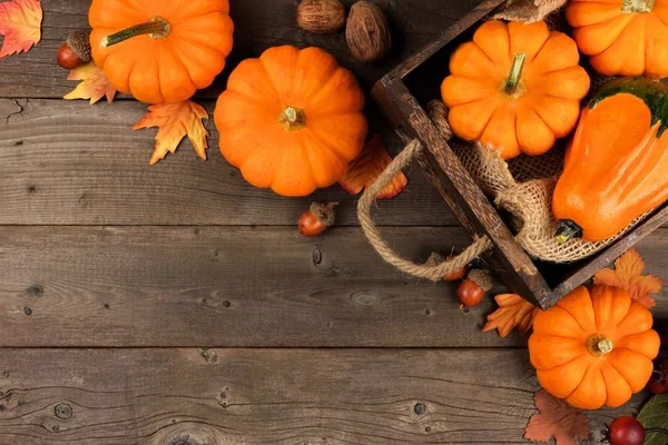 Arreglo de esquina otoñal de hojas y calabazas sobre madera — Foto de Stock