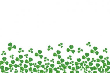 St Patricks Günü alt kenarlığını yoncaları beyaz bir arka plan üzerinde