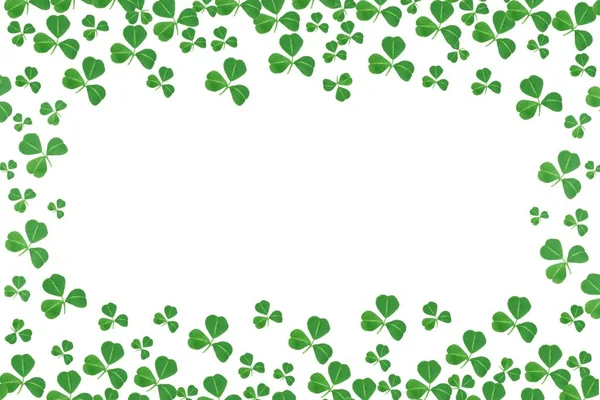 Patricks Day Frame Aus Shamrocks Vor Weißem Hintergrund — Stockfoto