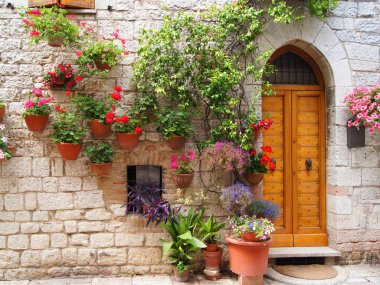 Assisi, İtalya bir ev dışında renkli çiçekler 