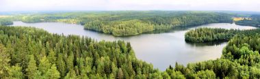 Finlandiya ormanları arasında gölün panoramik havadan görünümü