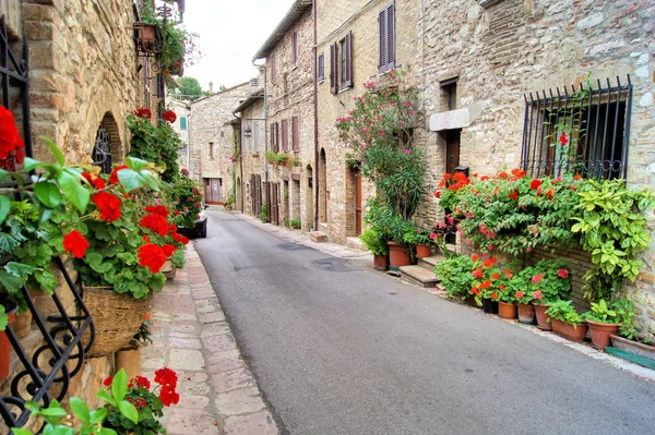 Flower Lined Medieval Street Assisi Italy Stock Image