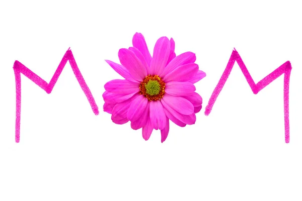 Mom Pink Handwriting Daisy Flower Center Isolated White — Stock Photo, Image