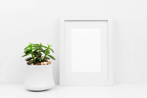 Mock up white frame and succulent plant in pot on a shelf or desk. White color scheme. Portrait frame orientation.