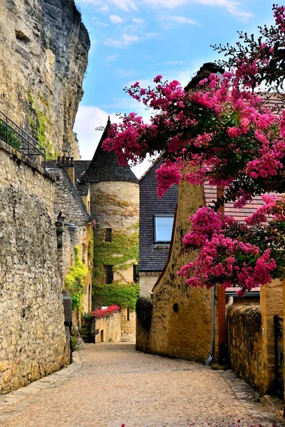 Bella Strada Del Villaggio Con Fiori Torre Medievale Dordogna Francia — Foto Stock