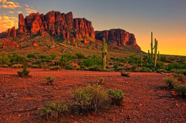 Saguaro kaktüsü ve dağlarla Arizona Çölü manzarası