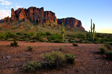 Saguaro kaktüsü ve dağlarla Arizona Çölü manzarası