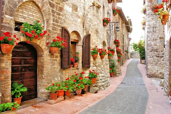 Flower Lined Street Town Assisi Italy — Stock Photo, Image