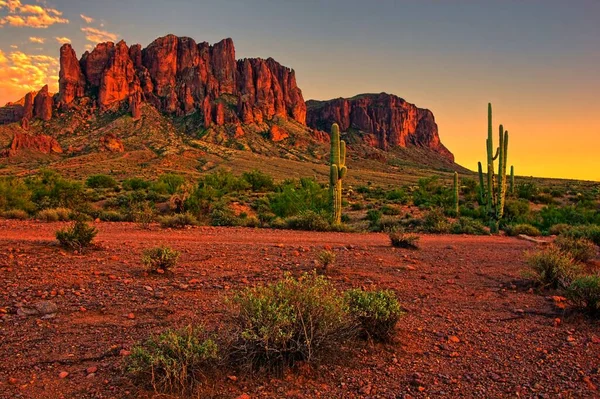 view of the Arizona desert with Saguaro cacti and mountains