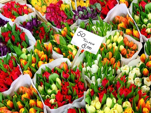 Tulpenblumen Zum Verkauf Auf Einem Holländischen Blumenmarkt — Stockfoto