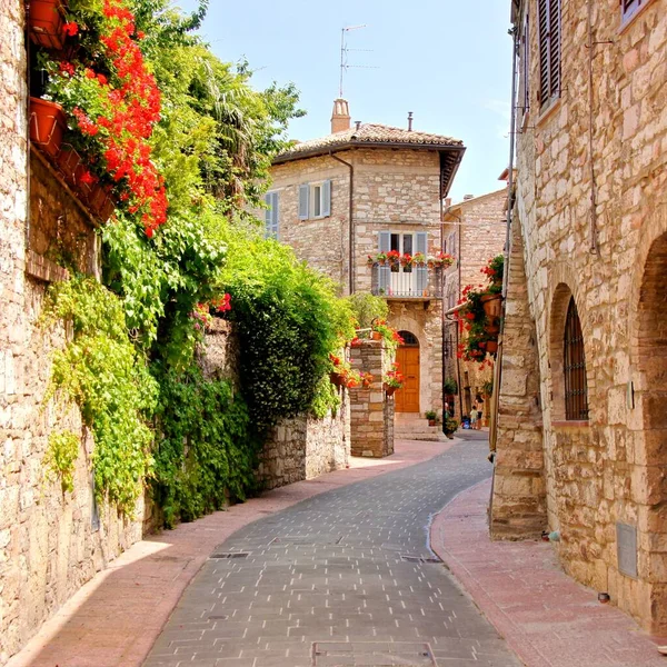 Blumengesäumte Straße Assisi Italien — Stockfoto