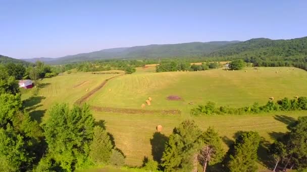 Aerial farm flyover summer — Stock Video